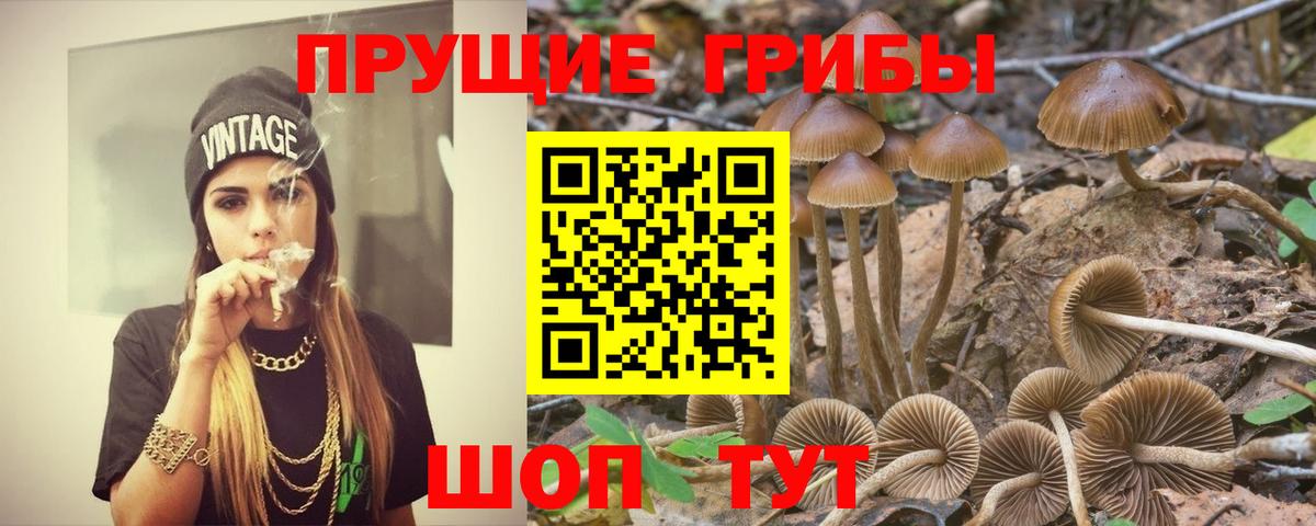 Железногорск  Псилоцибиновые грибы мицелий  Вход с VPN  Галлюциногенные грибы мицелий 